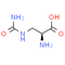 L-Albizziin