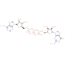 Guanosine 5'-triphosphate-5'-adenosine