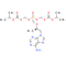 Tenofovir Disoproxil - CAS# 201341-05-1