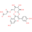 Quercetin 3-O-(6''-O-malonyl)-β-D-glucoside