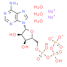 ATP disodium trihydrate - CAS