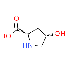 cis-4-Hydroxy-L-proline
