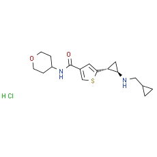 TAK-418 - CAS