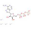 ATPγS tetralithium salt - CAS