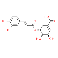 5-O-Caffeoylshikimic acid