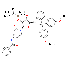 5'-O-DMT-2'-O-TBDMS-Bz-rC