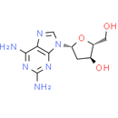 2-Amino-2'-deoxyadenosine