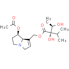 7-Acetylintermedine - CAS