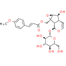 10-O-Trans-p-methoxycinnamoylcatalpol