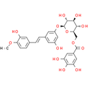 Rhaponticin 6′′-O-gallate