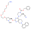 K-Ras ligand-Linker Conjugate 2
