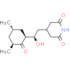 Cycloheximide