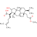 Poricoic acid BM