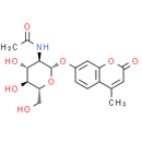 4-Methylumbelliferyl-2-acetamido-2-deoxy-β-D-Glucopyranoside