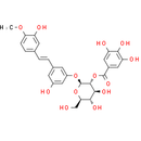 Rhaponticin 2′′-O-gallate - CAS