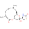 Latrunculin B