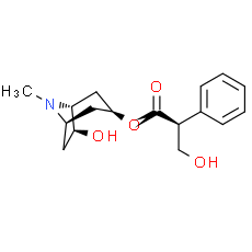 Anisodamine