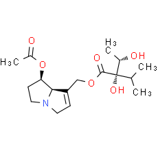 7-Acetyllycopsamine