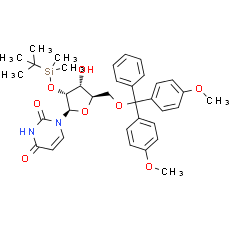 5'-O-DMT-2'-TBDMS-Uridine