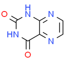 Pteridine-2, 4(1H, 3H)-dione