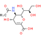 2, 3-Dehydro-2-deoxy-N-acetylneuraminic acid