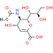 2, 3-Dehydro-2-deoxy-N-acetylneuraminic acid - CAS# 24967-27-9