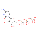 Cytidine-5'-triphosphate - CAS