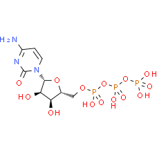 Cytidine-5'-triphosphate - CAS