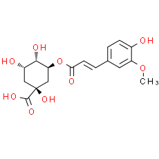 3-Feruloylquinic acid - CAS