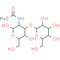 Lacto-N-biose I - CAS# 50787-09-2