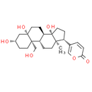 Hellebrigenol - CAS