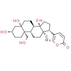 Hellebrigenol - CAS