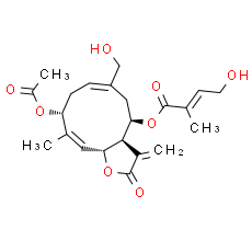 Eupalinolide H - CAS