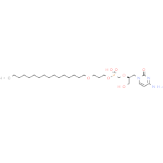 Brincidofovir - CAS