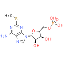 2-Methylthio-AMP - CAS