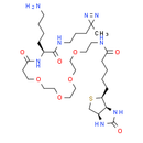 Biotin-probe 1