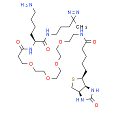 Biotin-probe 1