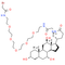GA-PEG5-bromide
