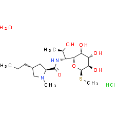 Lincomycin hydrochloride monohydrate - CAS