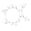 Oxytocin parallel dimer