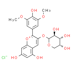 Malvidin-3-O-arabinoside chloride