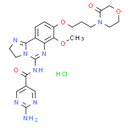 PI3K-IN-19 hydrochloride