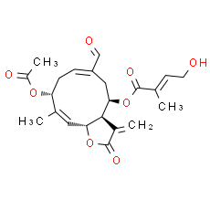 Eupalinolide O