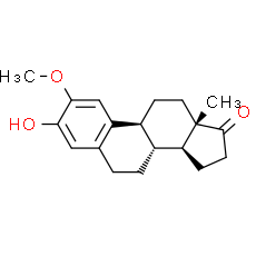 2-Methoxyestrone
