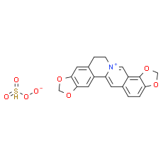 Coptisine Sulfate