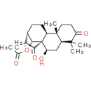 Glaucocalyxin B
