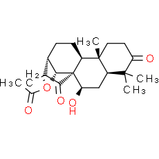 Glaucocalyxin B