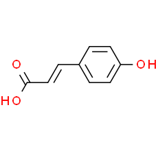 p-Hydroxycinnamic acid
