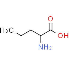 DL-Norvaline