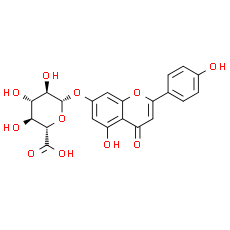 Apigenin-7-glucuronide